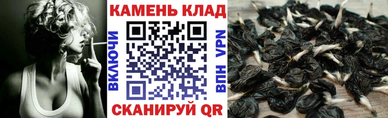 ГАШ Изолятор  мега сайт  Краснокамск  закладка 